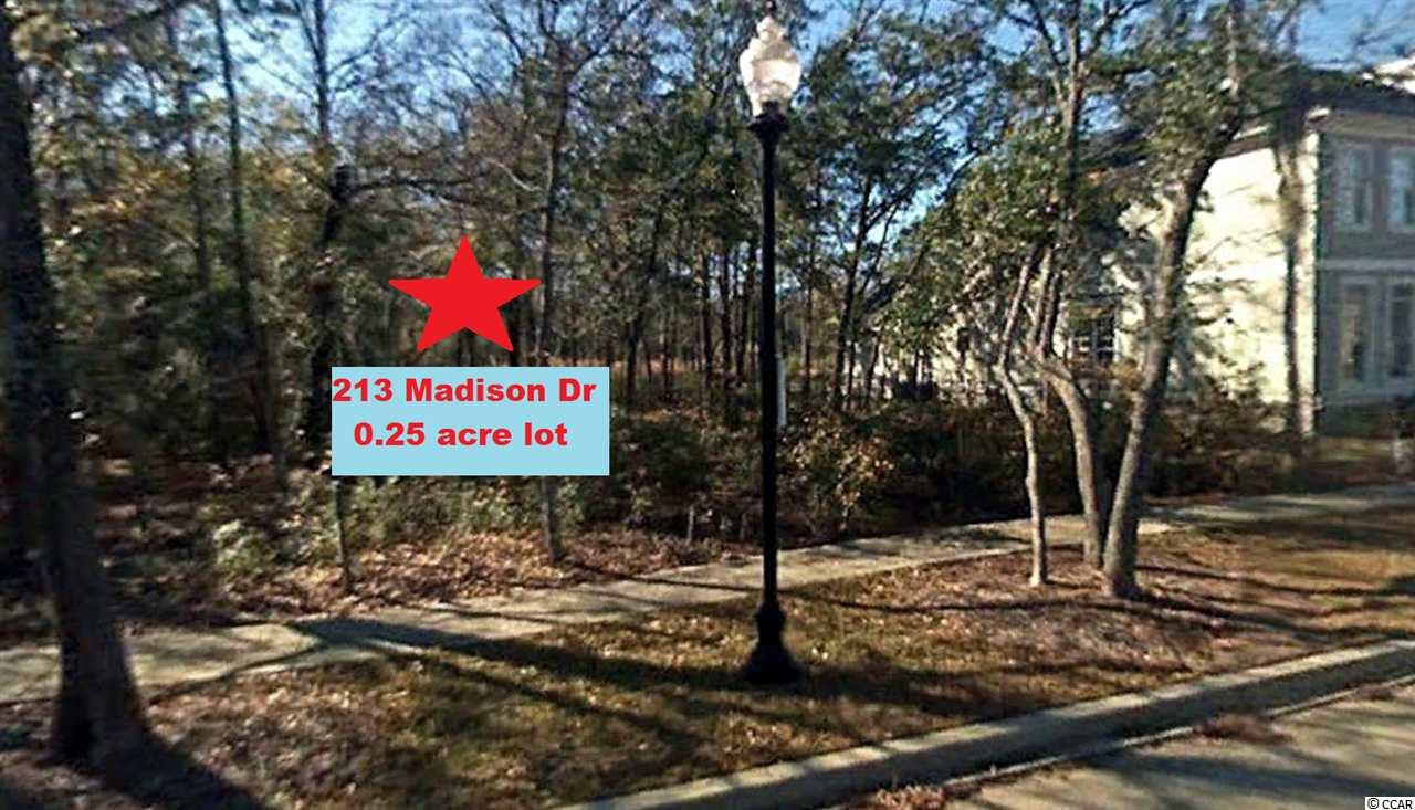 213 Madison Drive Georgetown, SC 29440 - Photo 5 of 6 Gallery Image 5
