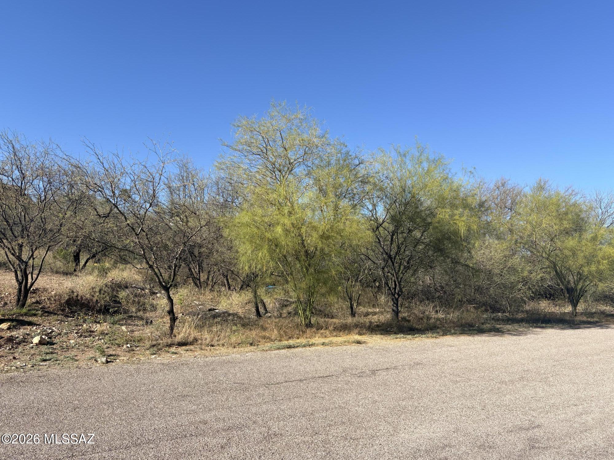 412 Wrightson Street, Unit 3 Rio Rico, AZ 85648 - Photo 3 of 5 a view of a yard with a tree