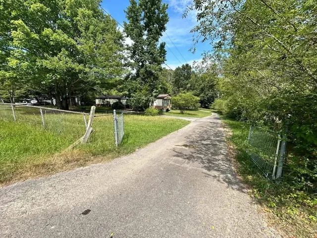 a view of a park with large trees