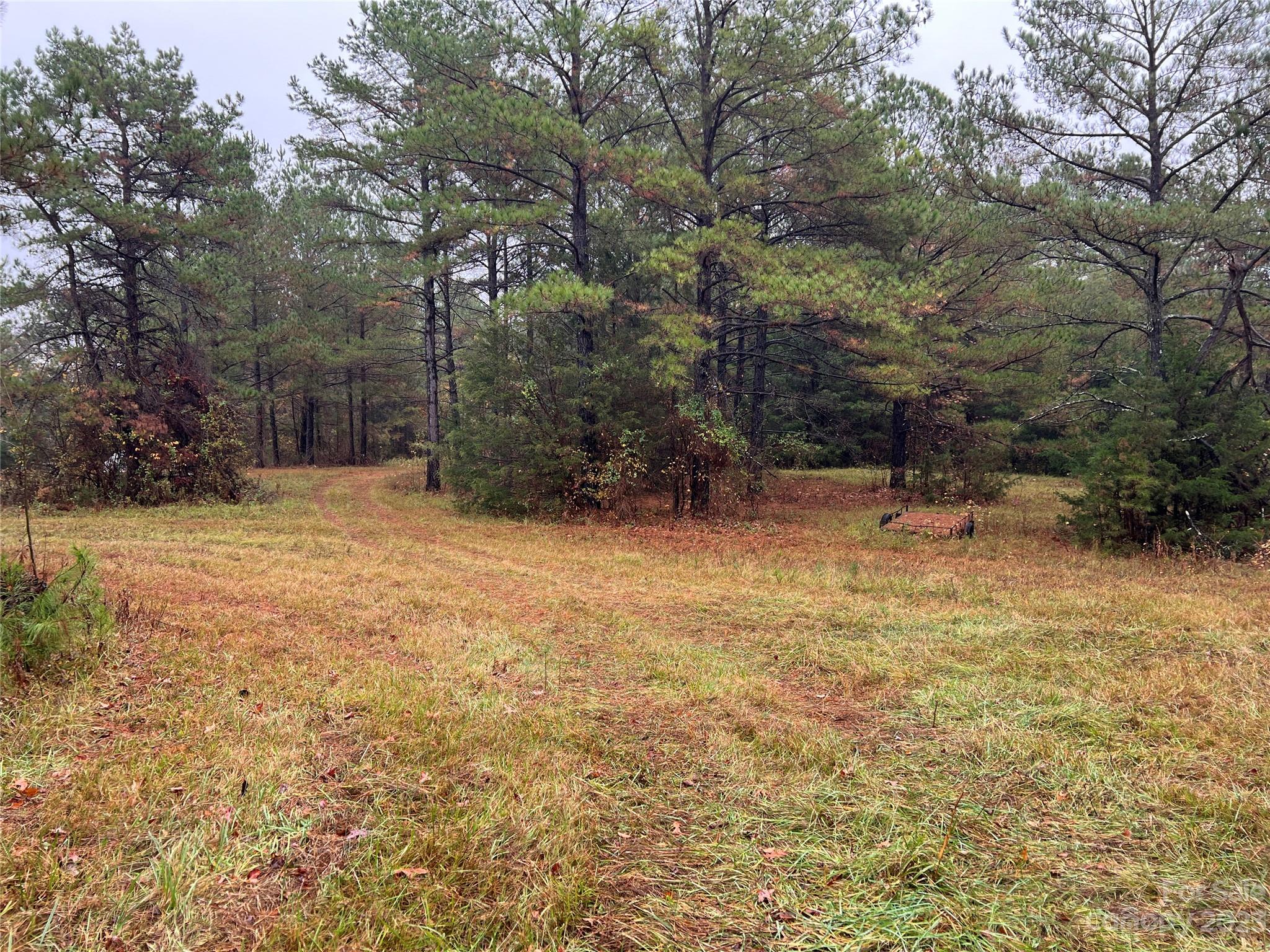 Tbd Logan Terry Road Lancaster, SC 29720 - Photo 3 of 9 a backyard of a house with lots of green space