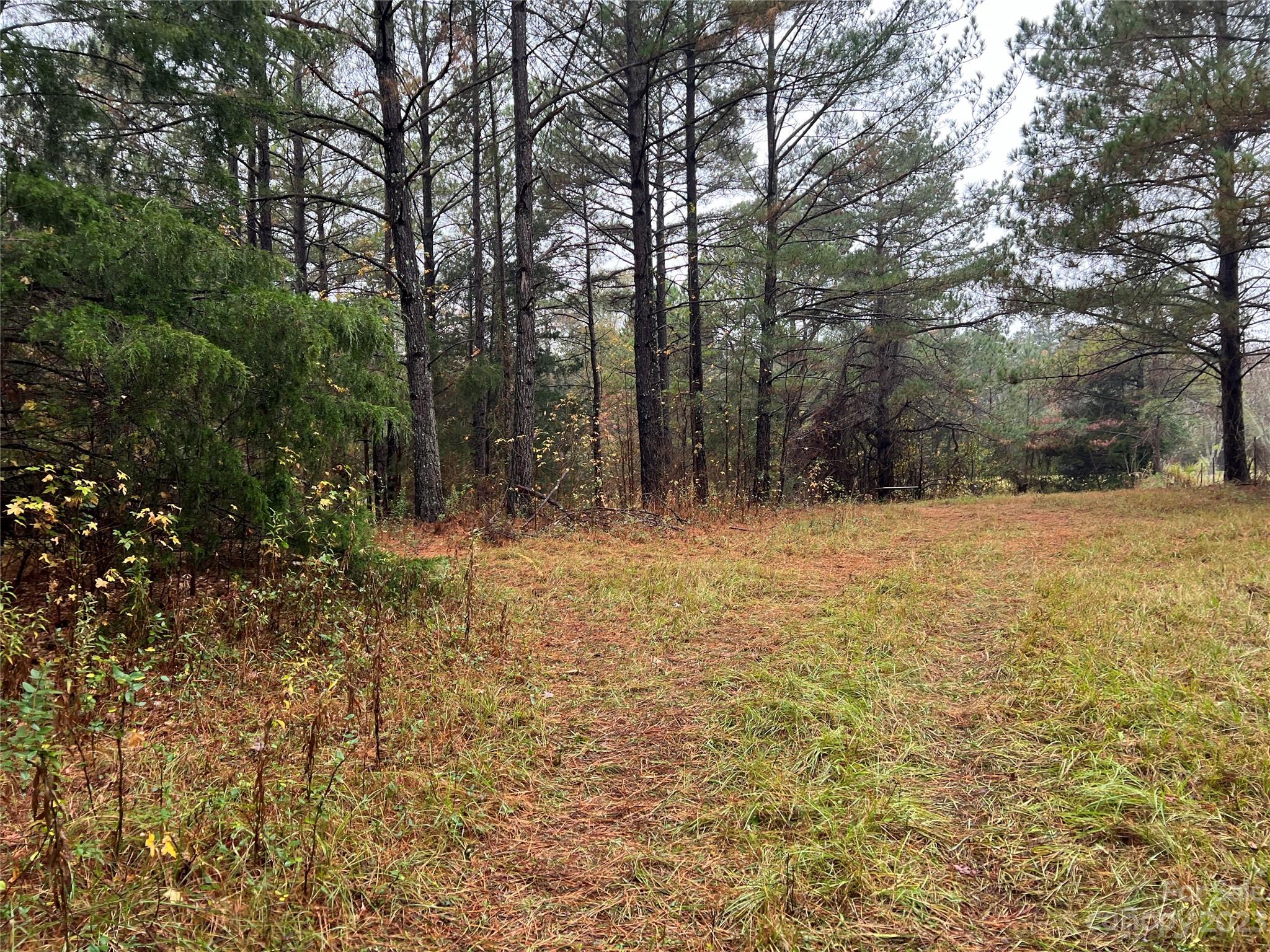 Tbd Logan Terry Road Lancaster, SC 29720 - Photo 8 of 9 a view of yard with trees