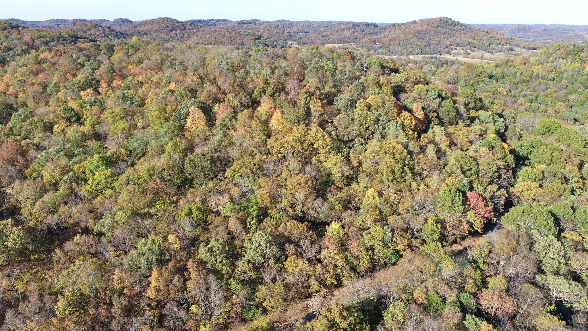 0 Snake Hollow Road Bethpage, TN 37022 - Photo 8 of 16 Gallery Image 8