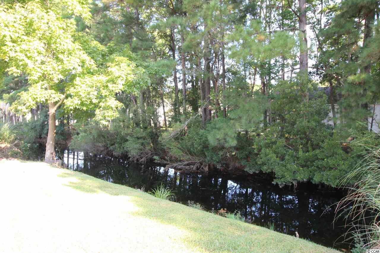 2411 Warbler Court Murrells Inlet, SC 29576 - Photo 38 of 40 Gallery Image 38