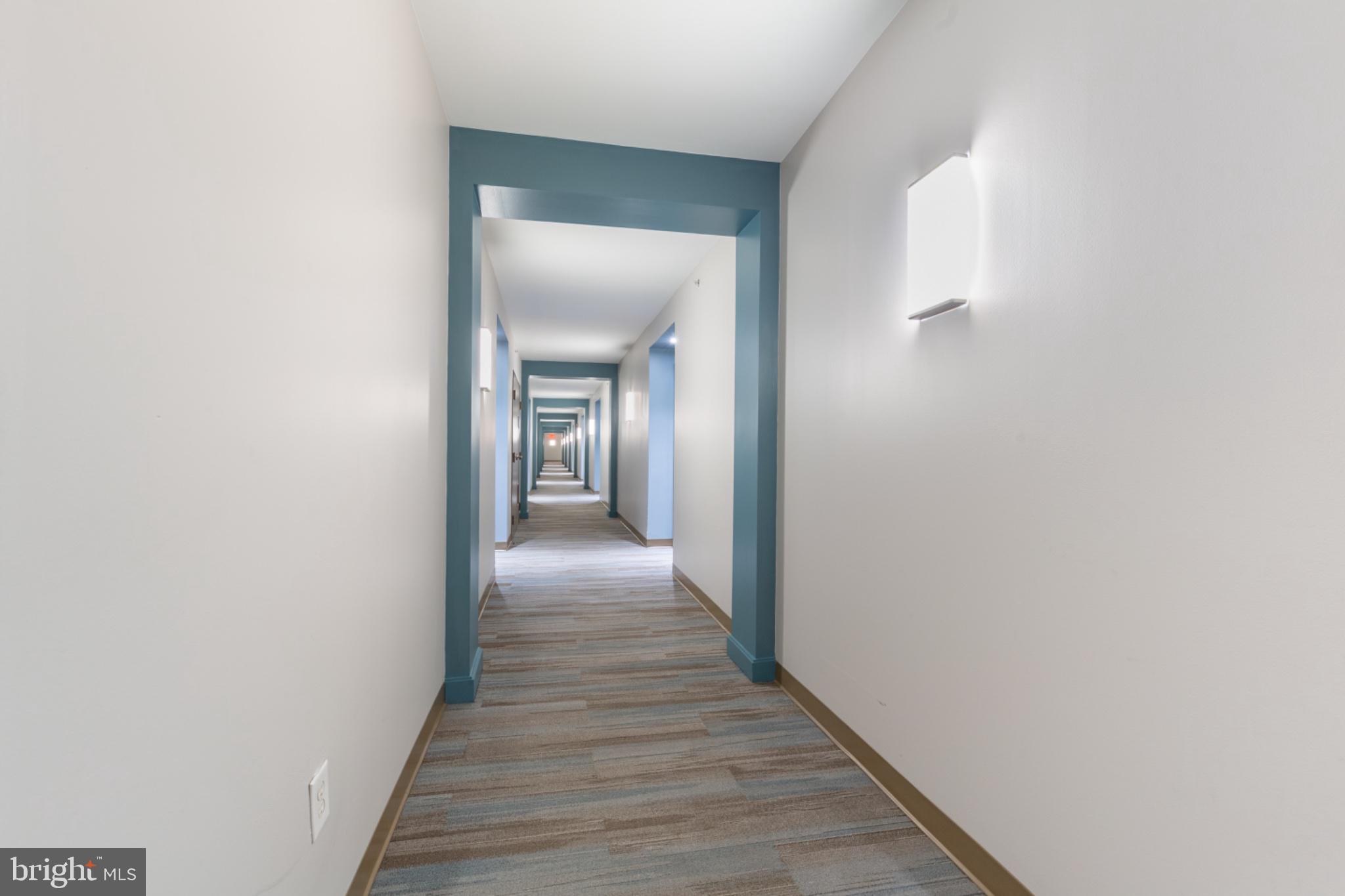 350 G Street Southwest, Unit N423 Washington, DC 20024 - Photo 6 of 43 Inviting corridor with modern flair.