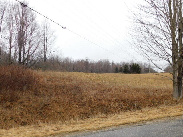 2750 Schoedel Road Manistee, MI 49660 - Photo 16 of 56 DSCN0982