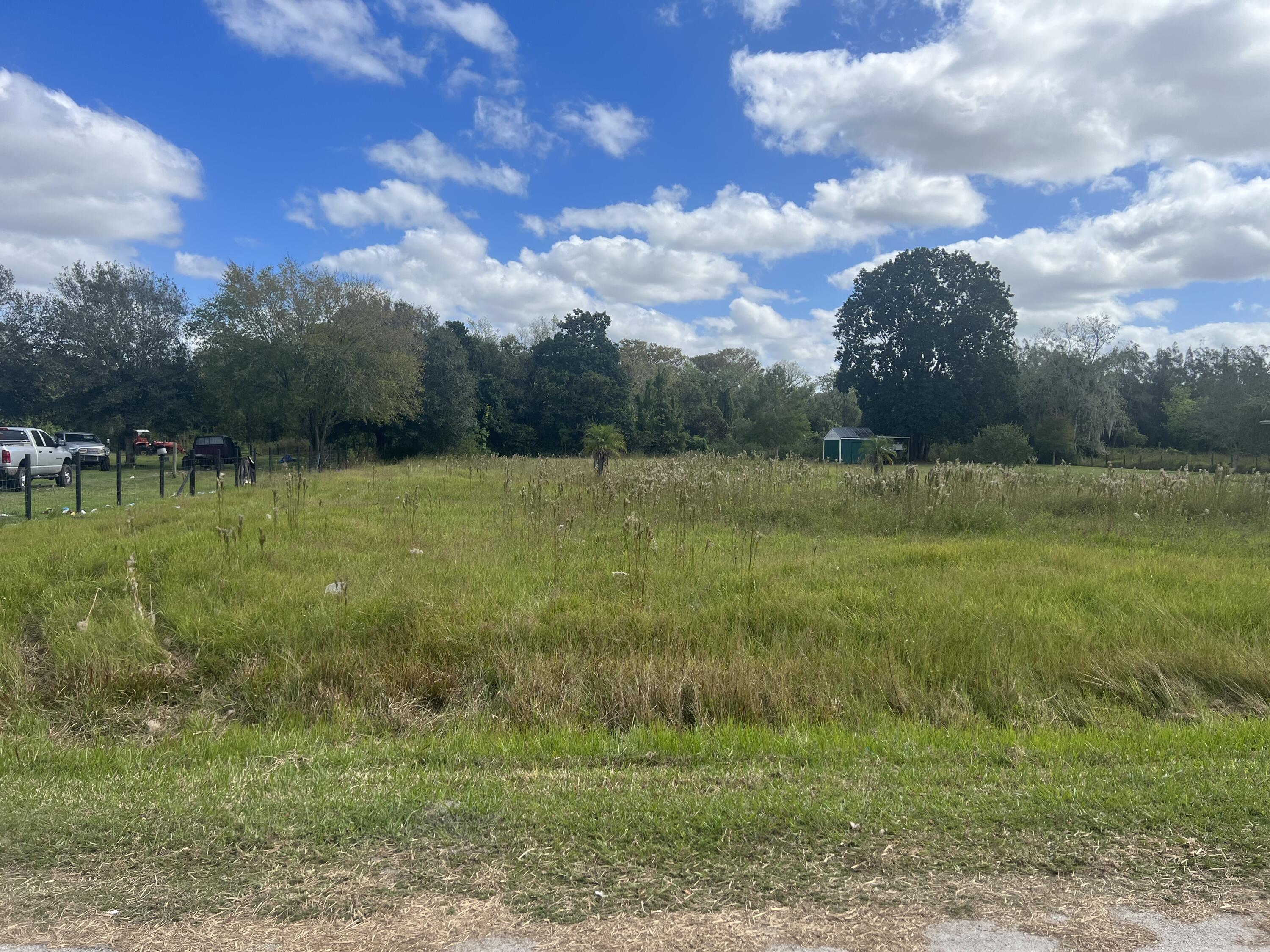 30910 Northeast 23rd Way Okeechobee, FL 34972 - Photo 6 of 8 a view of a green field