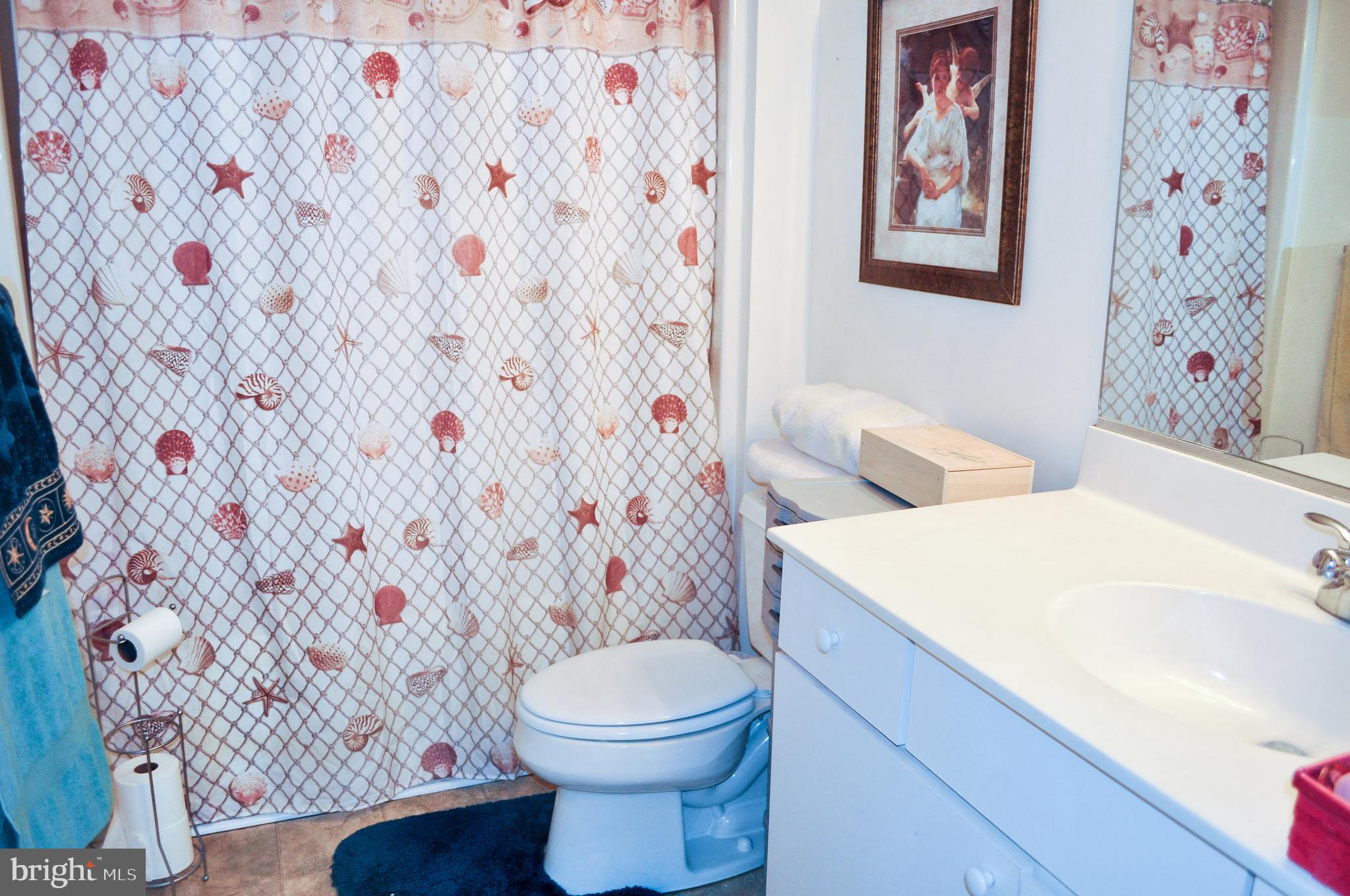 703 Canning House Row, Unit 902 Milton, DE 19968 - Photo 14 of 18 a bathroom with a toilet and a shower curtain