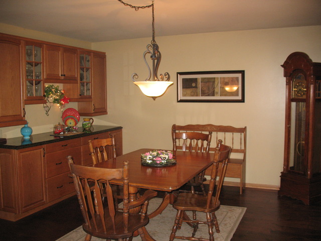 3040 East Spring Road Mazon, IL 60444 - Photo 4 of 25