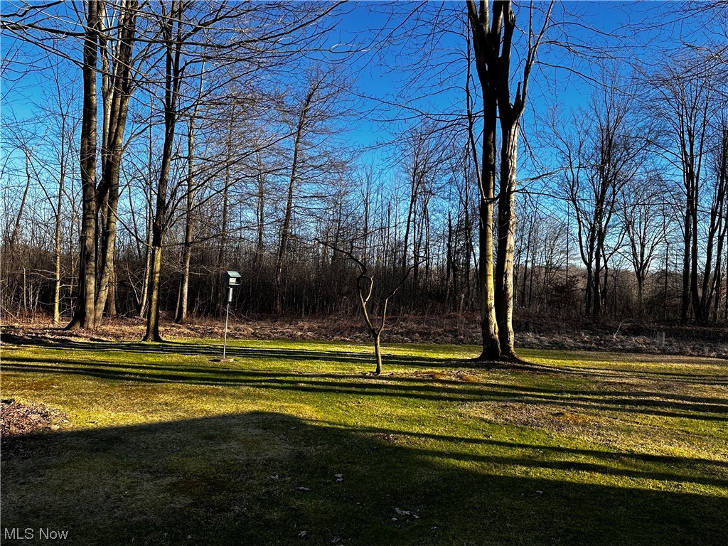 4944 Higley Road Rome, OH 44085 - Photo 18 of 28 View of back yard