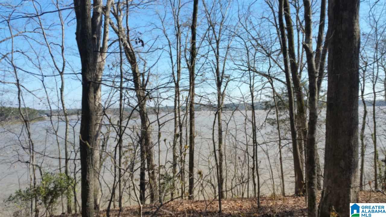980 Sunset Strip Road, Unit 7 Pell City, AL 35128 - Photo 2 of 6