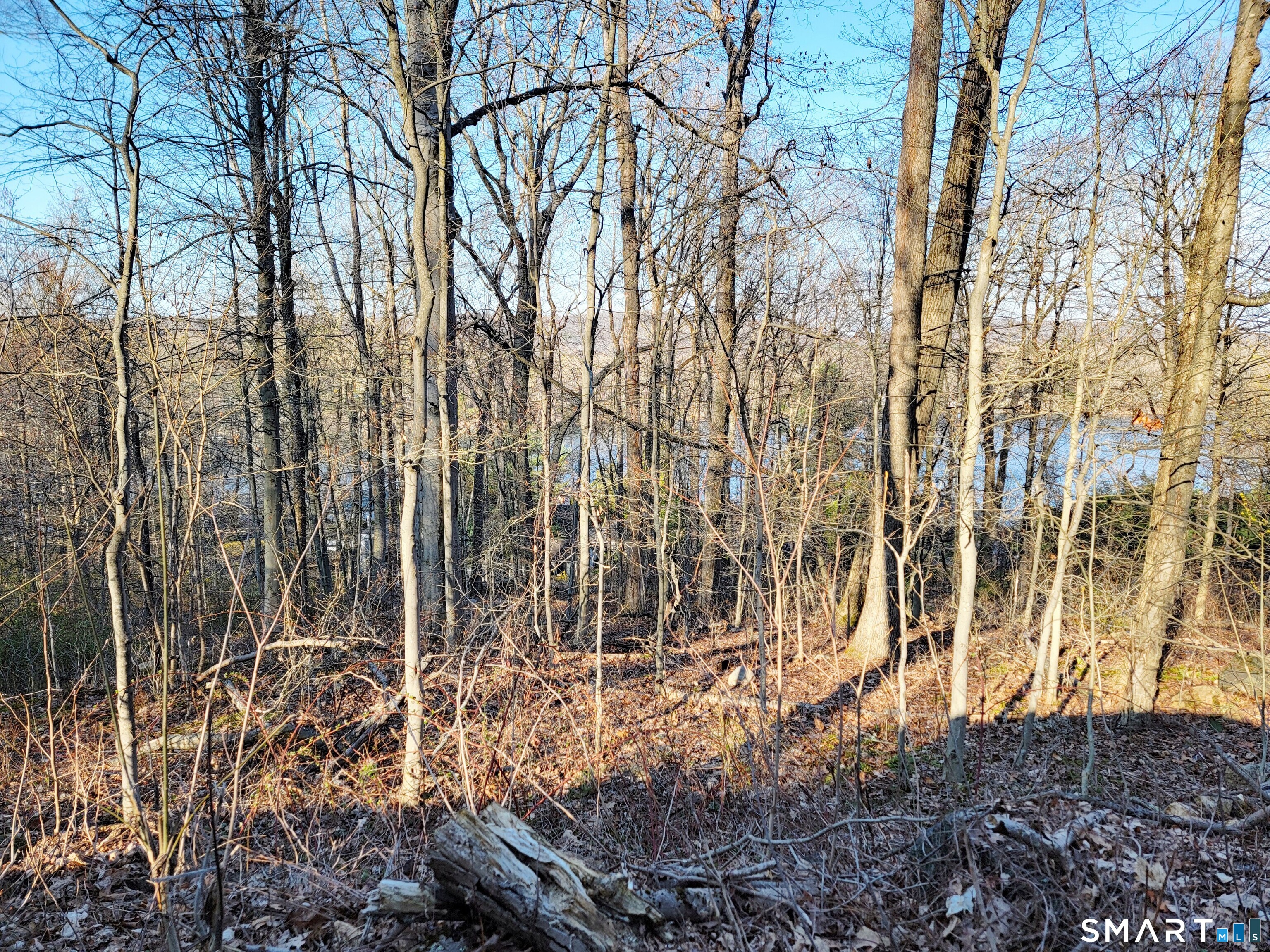 8 Old Sib Road Ridgefield, CT 06877 - Photo 3 of 7