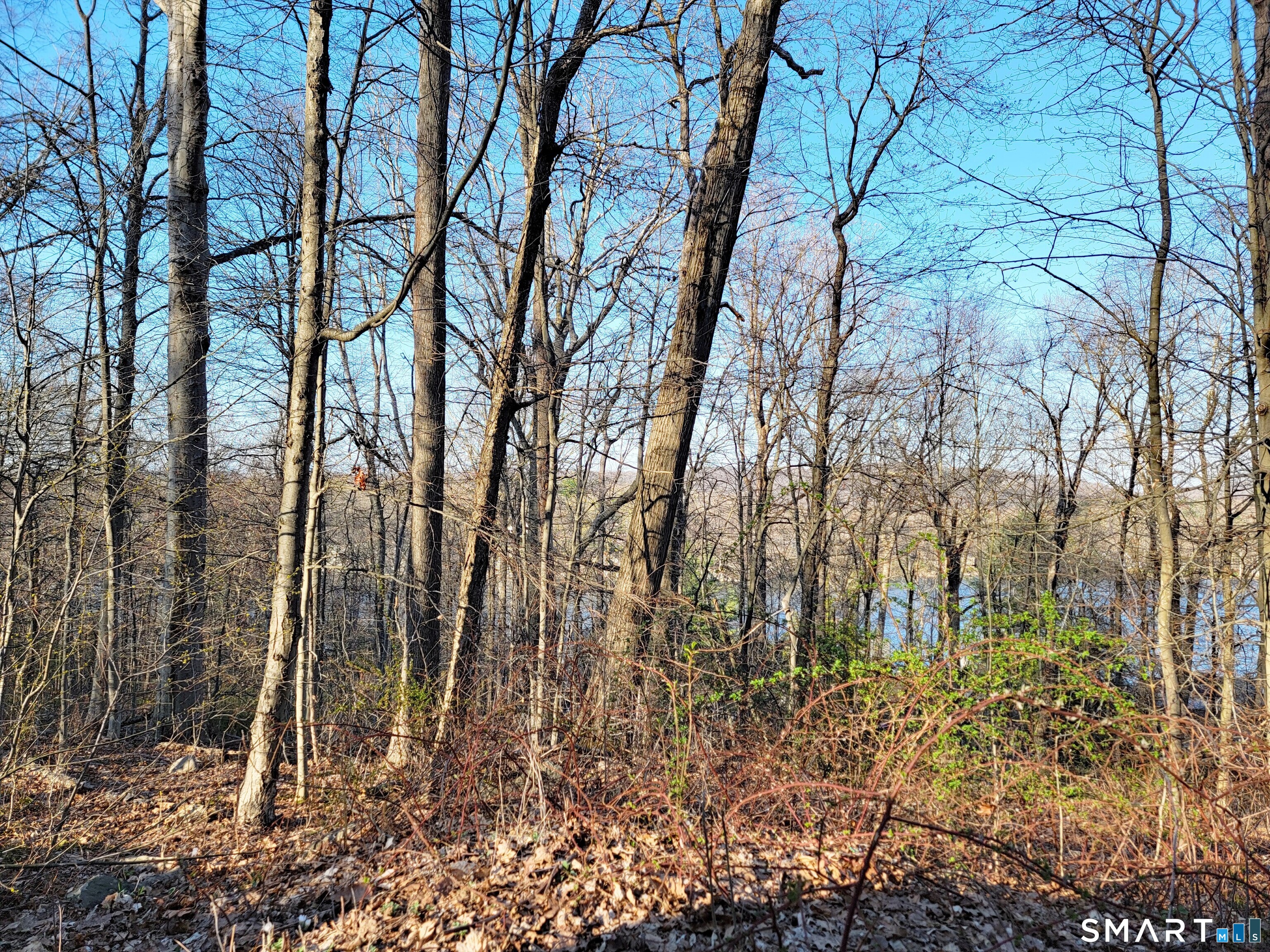 8 Old Sib Road Ridgefield, CT 06877 - Photo 4 of 7