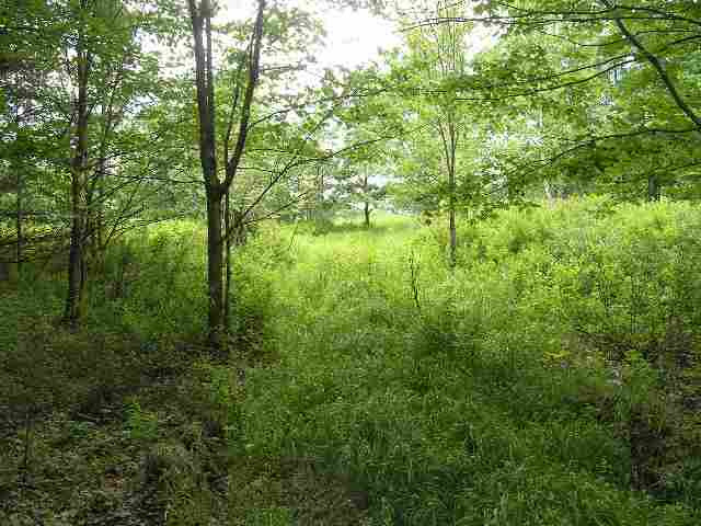 950 Stanley Roseboom Road Worcester, NY 13488 - Photo 3 of 5 Photo 3