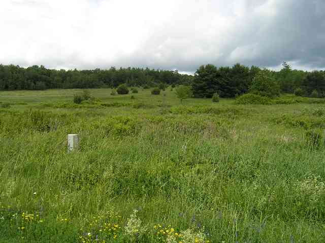 950 Stanley Roseboom Road Worcester, NY 13488 - Photo 4 of 5 Photo 4