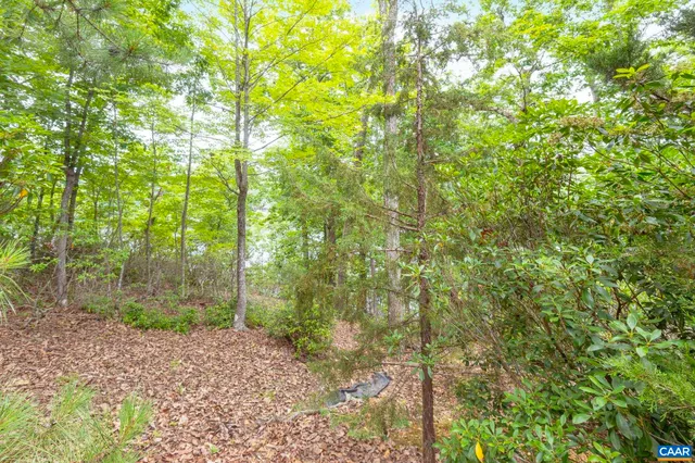 $725,000 | 42 Cliftwood Road, Palmyra, VA 22963