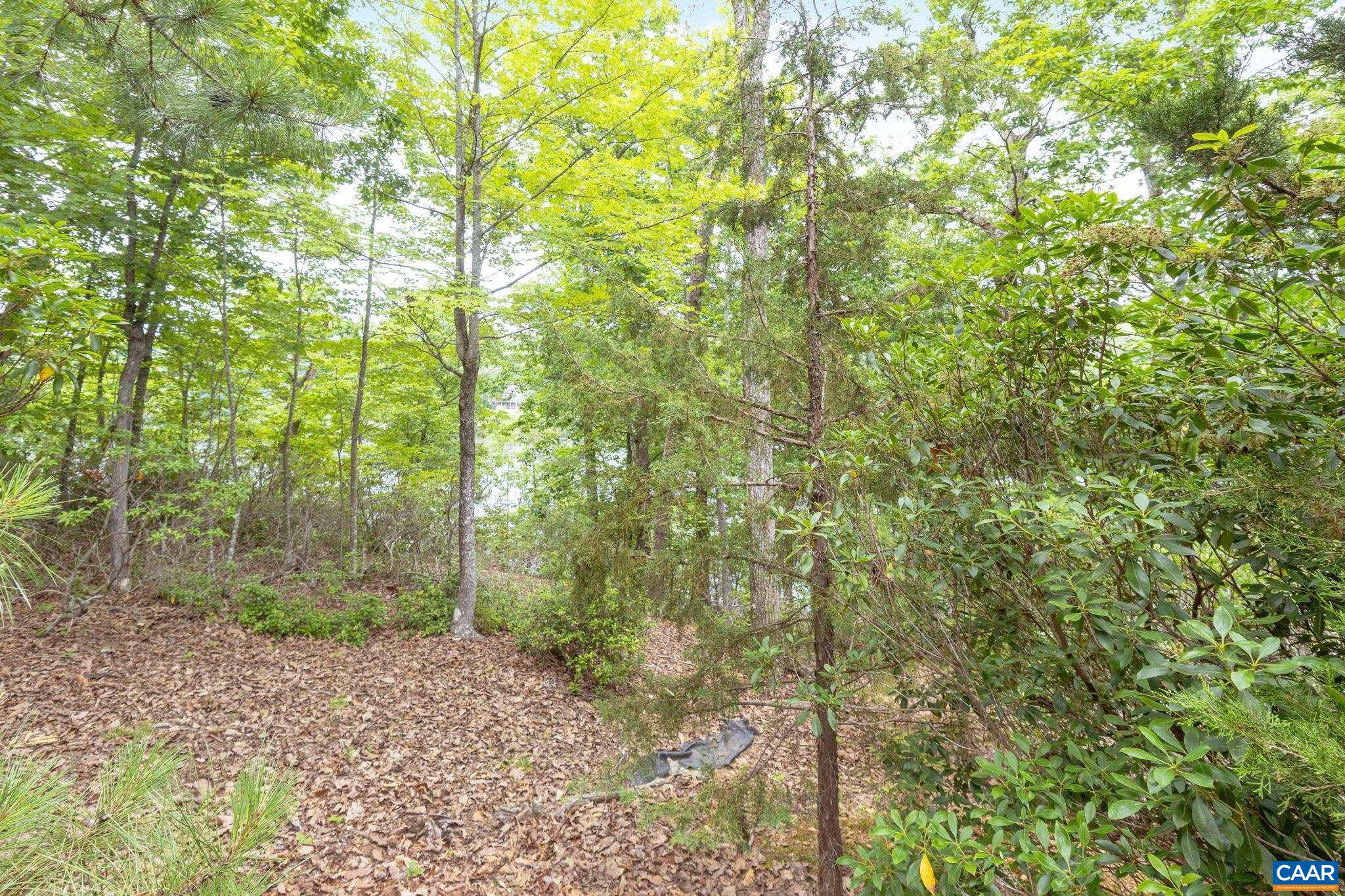 42 Cliftwood Road Palmyra, VA 22963 - Photo 35 of 69