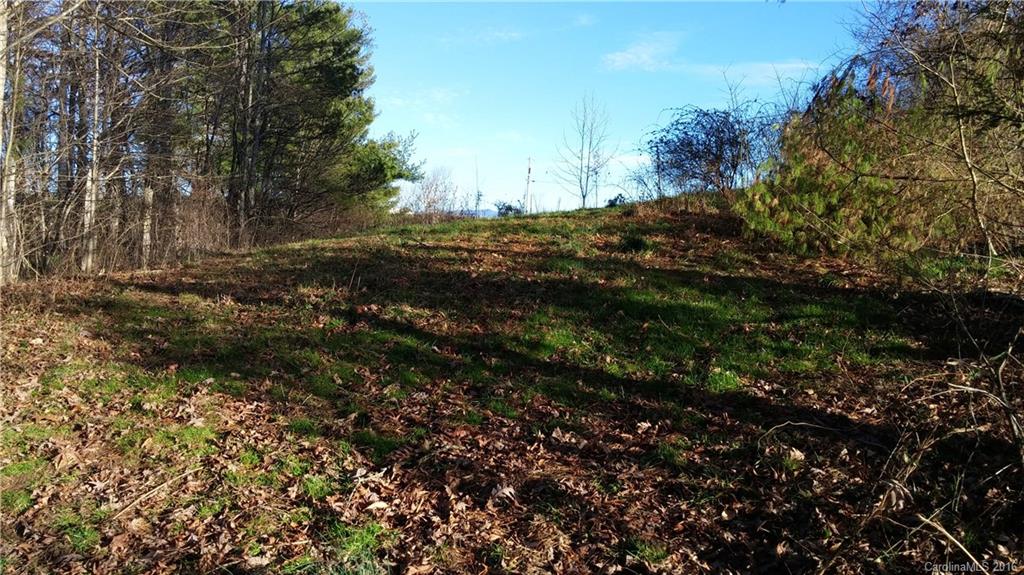 #### Frank Rector Road, Unit 16 Marshall, NC 28753 - Photo 4 of 6 Gallery Image 4