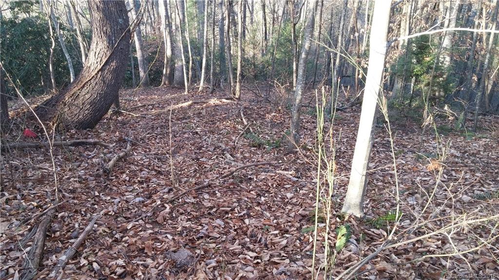 #### Frank Rector Road, Unit 16 Marshall, NC 28753 - Photo 6 of 6 Gallery Image 6