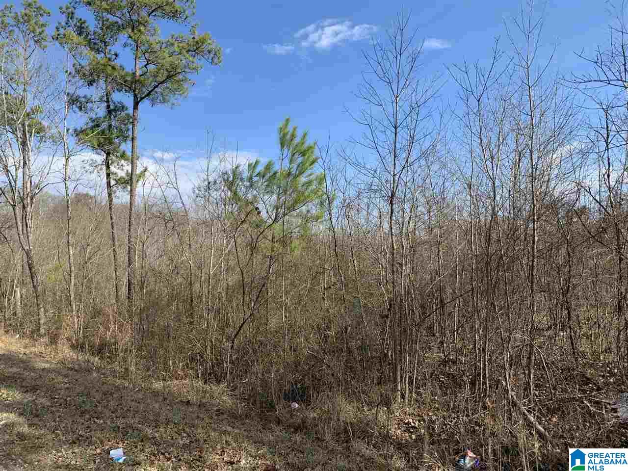 15-acres Crump Road, Unit 15 ACRES Steele, AL 35987 - Photo 6 of 9