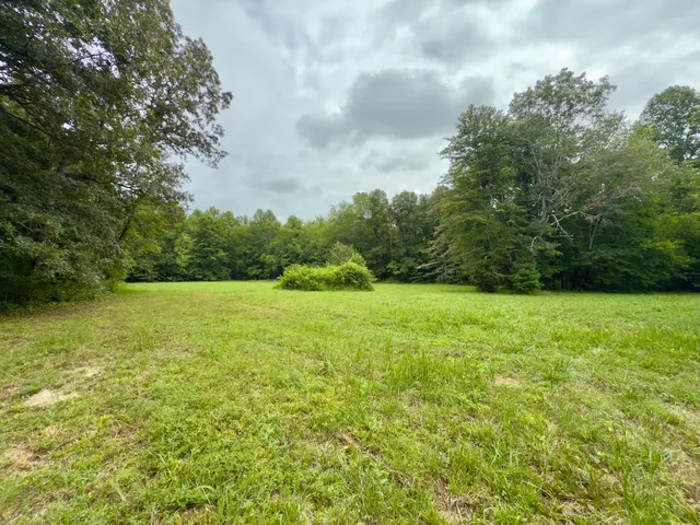 a view of a green field with wooden fence