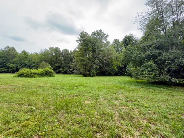 a view of a grassy field with trees