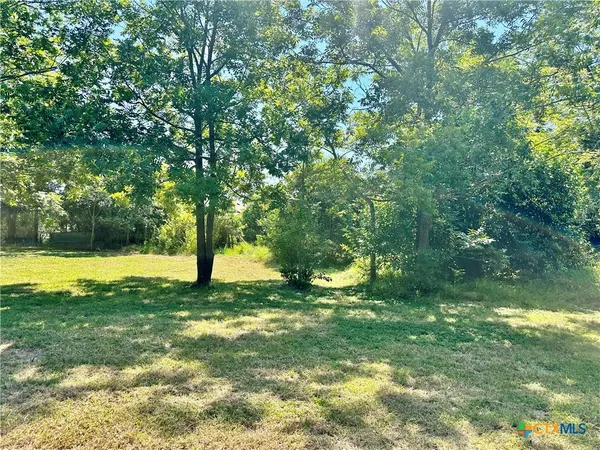a view of a yard with a tree