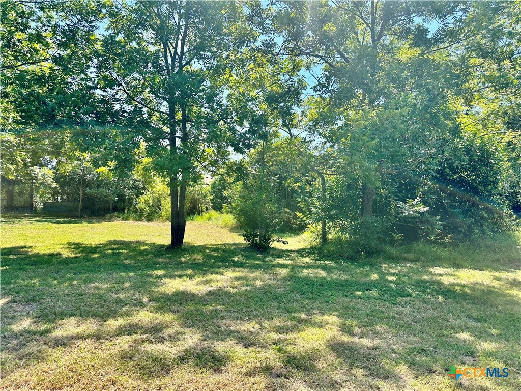 1009 South 18th Street Temple, TX 76501 - Photo 2 of 9 a view of a yard with a tree