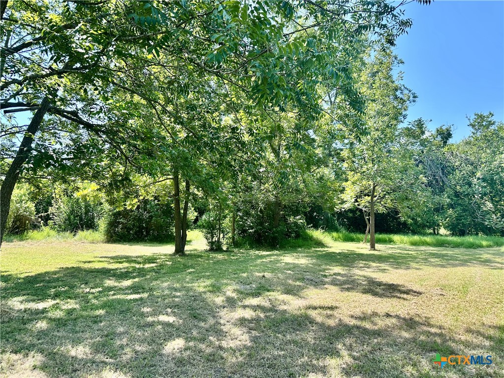1009 South 18th Street Temple, TX 76501 - Photo 4 of 9 a backyard of a house with lots of green space and trees all around