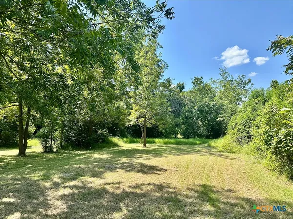 a view of a tree in a yard