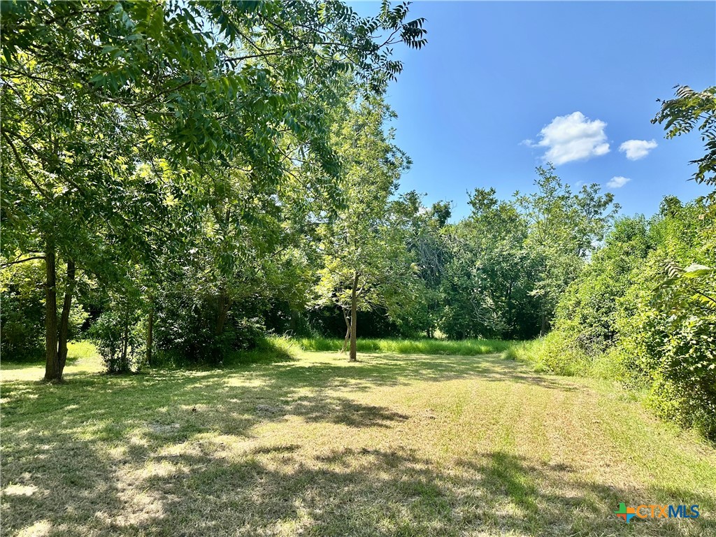 1009 South 18th Street Temple, TX 76501 - Photo 5 of 9 a view of a tree in a yard