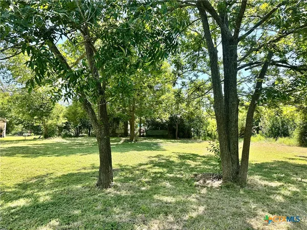 a view of a yard with a tree