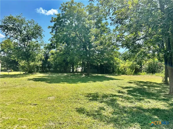 a view of a large yard with large trees