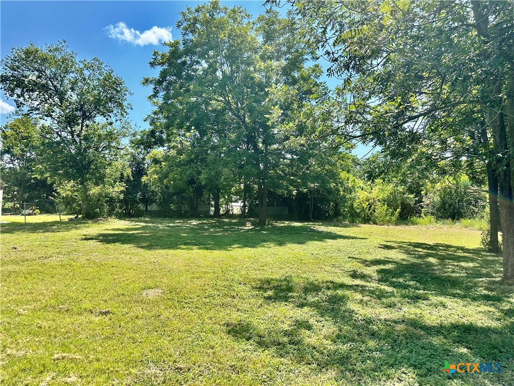 1009 South 18th Street Temple, TX 76501 - Photo 7 of 9 a view of a large yard with large trees