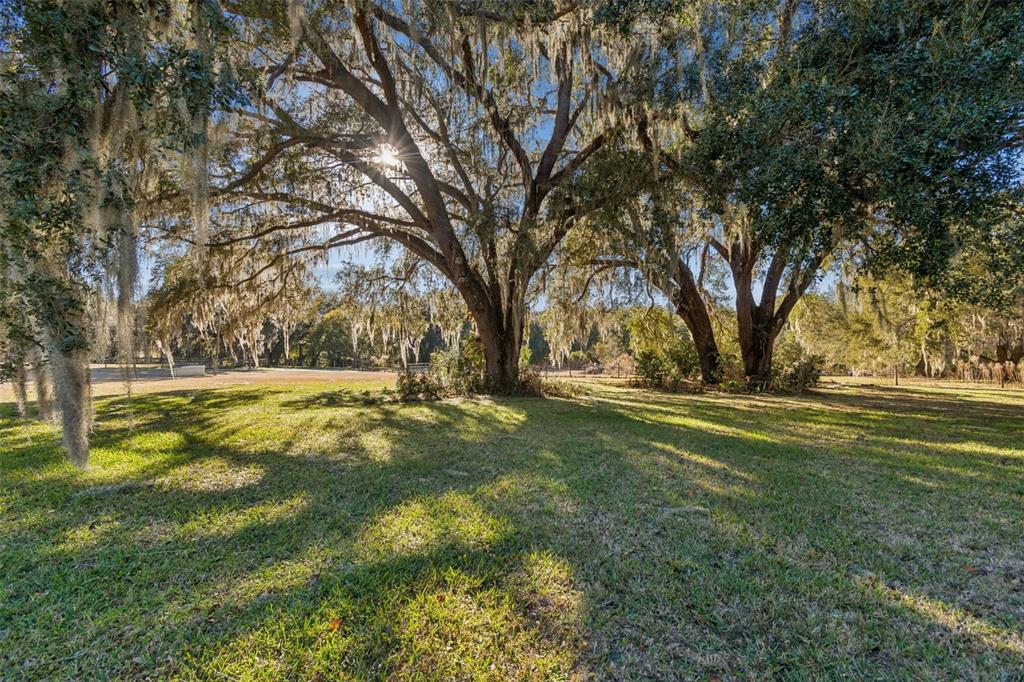 5101 County Road 316A Bushnell, FL 33513 - Photo 47 of 59