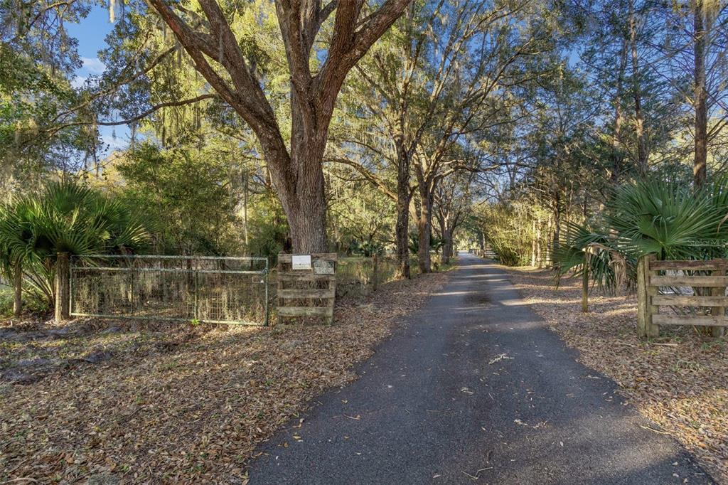 5101 County Road 316A Bushnell, FL 33513 - Photo 50 of 59