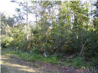 Beautiful wooded lot located convenient to UWF, University Mall & I-10...