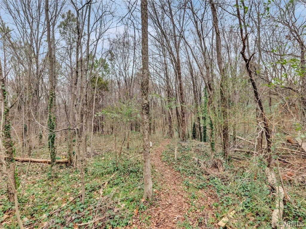5920 Fairlee Road Richmond, VA 23225 - Photo 34 of 49 Gallery Image 34