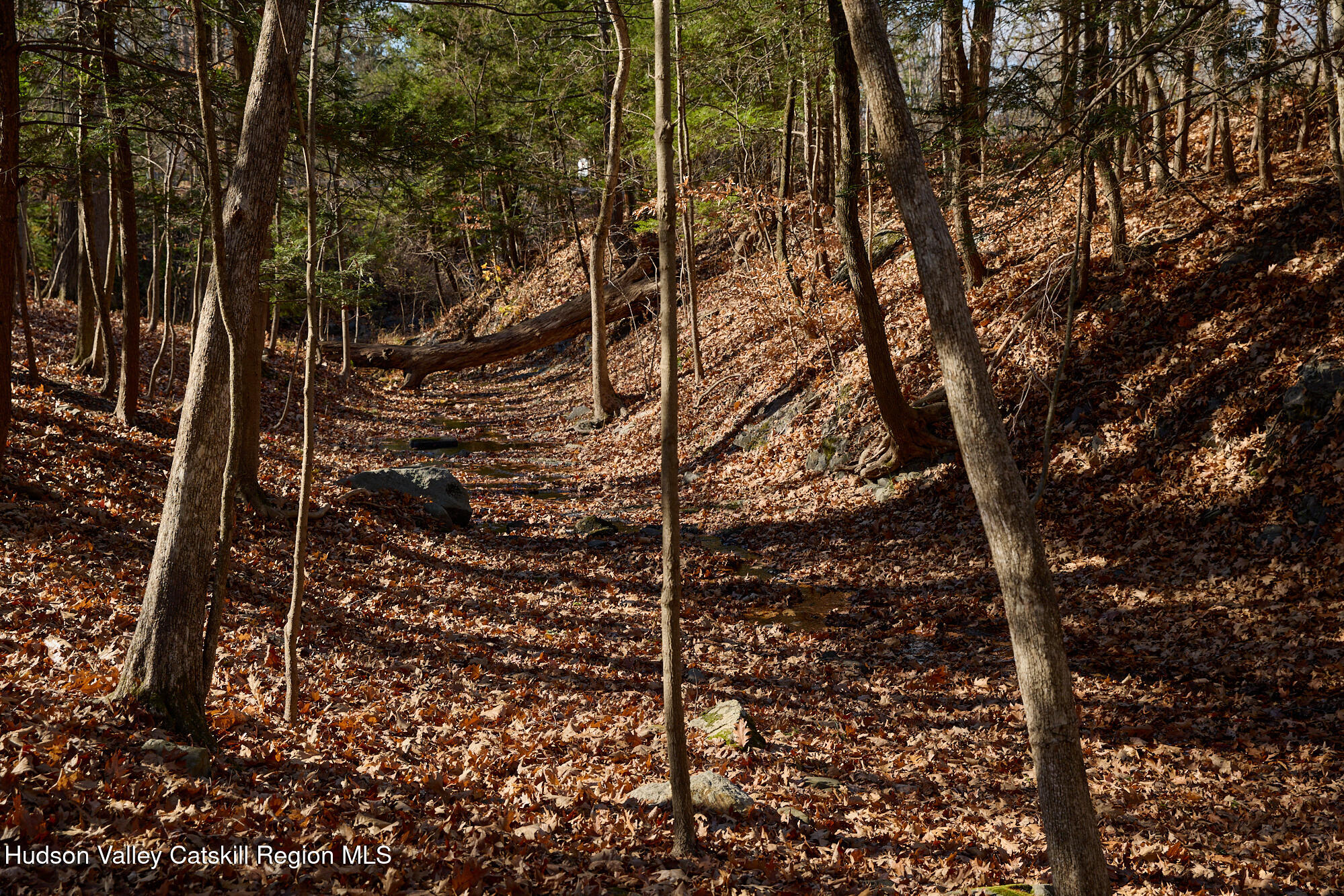 3 Jansen Road New Paltz, NY 12561 - Photo 24 of 27 Horgan_3Jansen_025