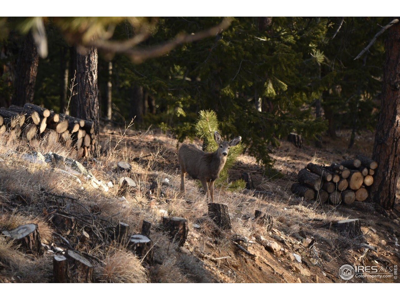 1000 Alaska Road Boulder, CO 80302 - Photo 50 of 50 a view of a interior of the house