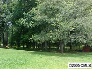 1151 Dunlap Roddey Road Rock Hill, SC 29730 - Photo 3 of 8 a view of a tree in a yard