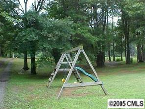 1151 Dunlap Roddey Road Rock Hill, SC 29730 - Photo 4 of 8 a view of a park with a slide