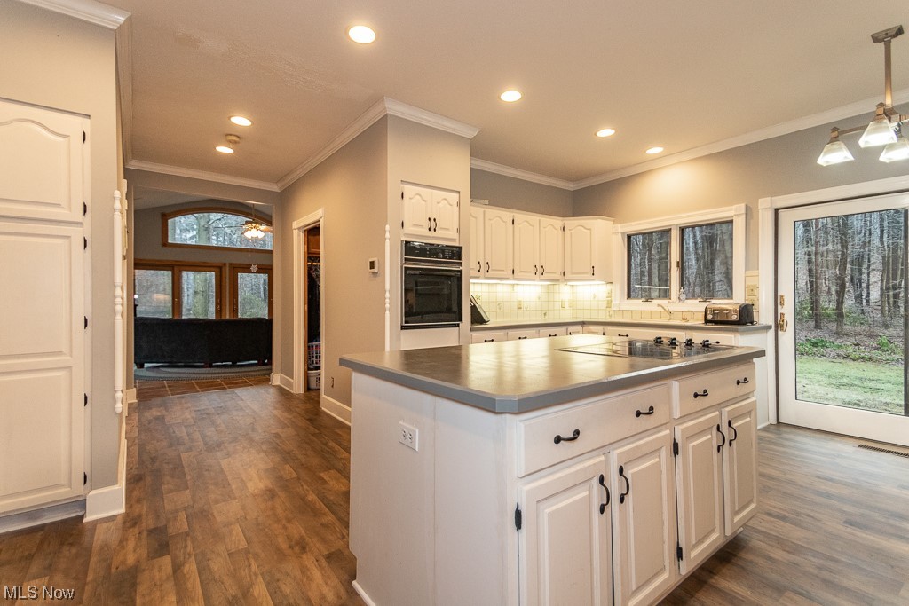 16625 Moseley Road Thompson, OH 44086 - Photo 10 of 35