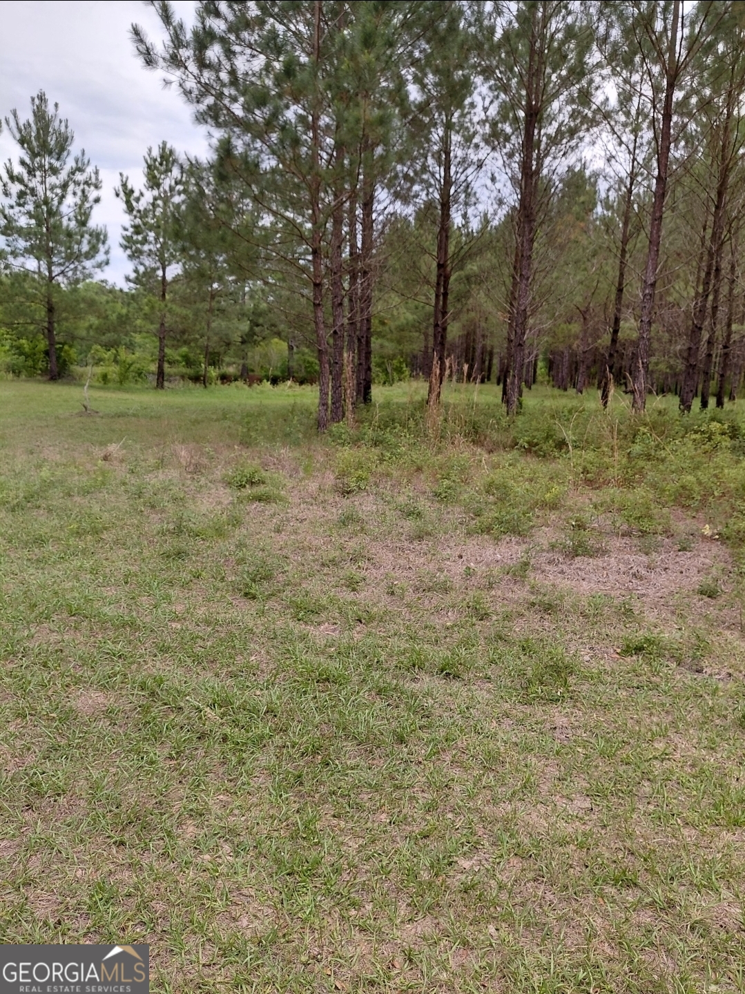 436 Russell Boulevard St. George, GA 31562 - Photo 10 of 33