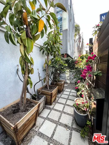 a view of a backyard with plants and a patio