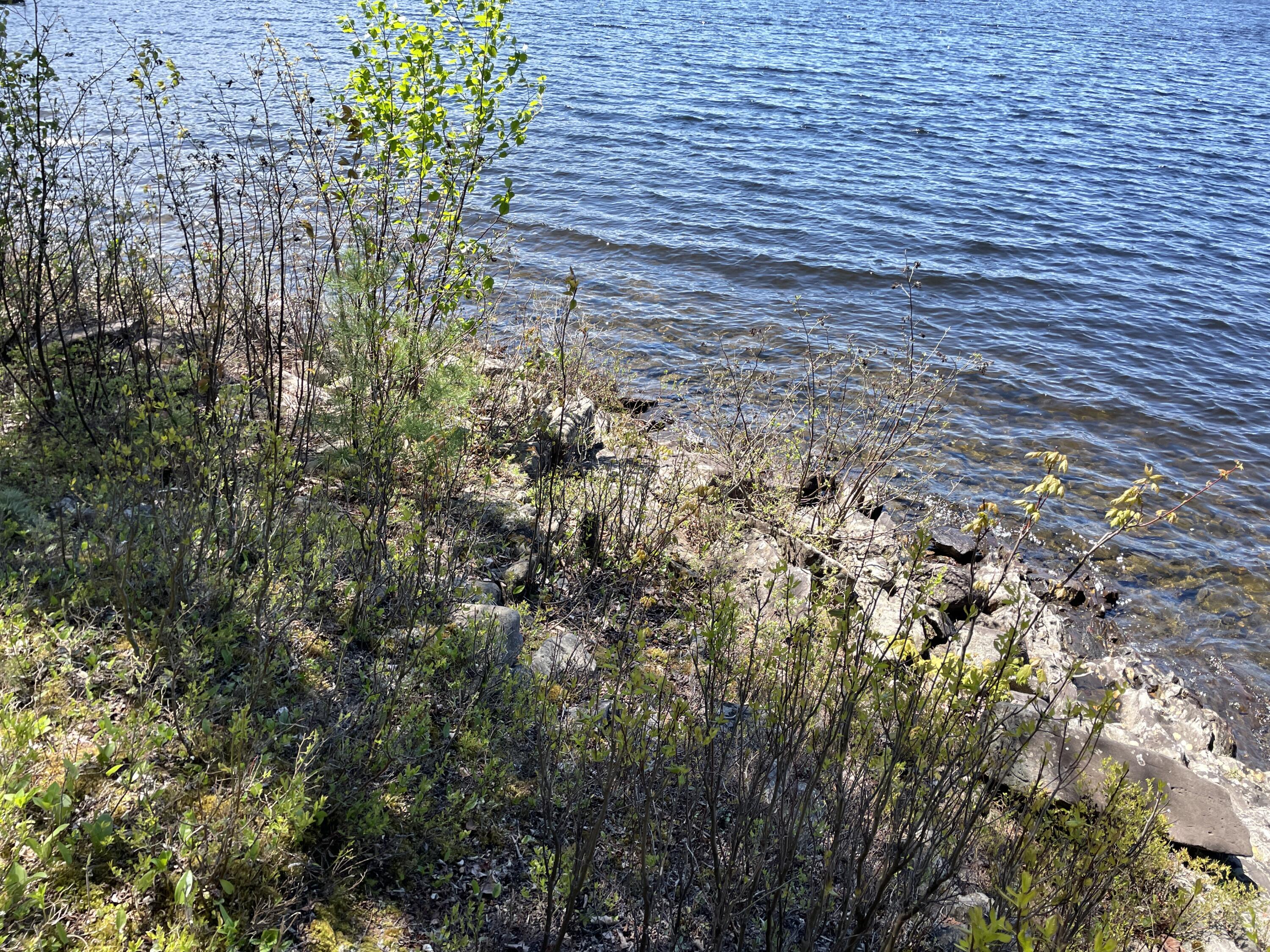 65 Ram Island Road Bowerbank, ME 04426 - Photo 13 of 42 IMG_5018