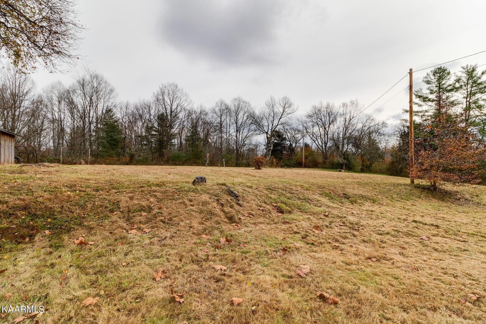 108 Davidson Street Deer Lodge, TN 37726 - Photo 23 of 30 a view of a yard with a house