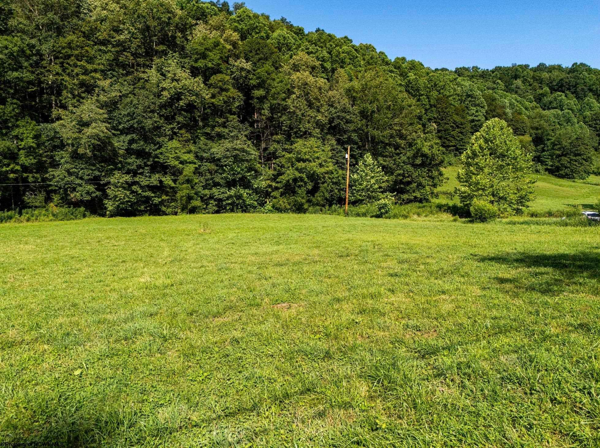431 Big Elk Road Wallace, WV 26448 - Photo 4 of 26 Gallery Image 4