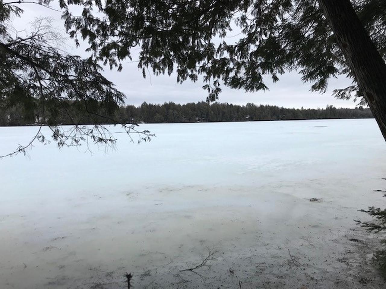 On Beatons Lake Road, Unit LOT 8 Watersmeet, MI 49969 - Photo 10 of 16 Gallery Image 10