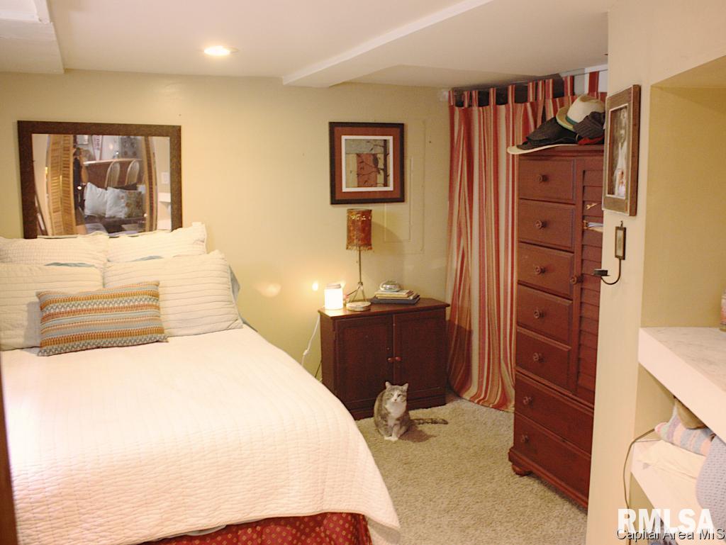 1517 South 4th Street Springfield, IL 62703 - Photo 15 of 24