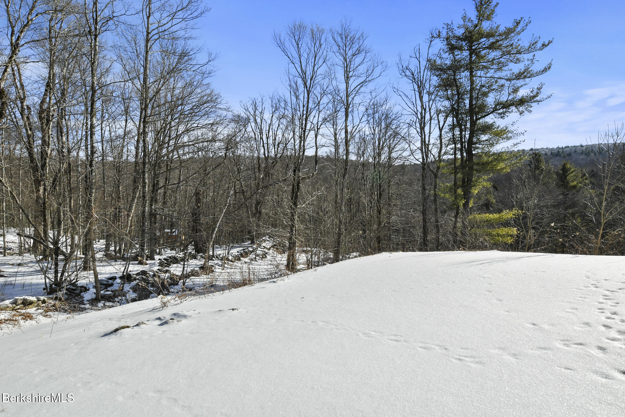 41 S Road Peru, MA 01235 - Photo 35 of 45 Rear Yard